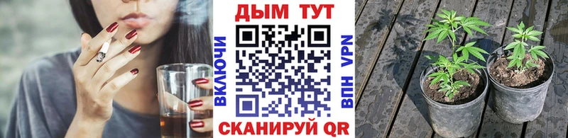 Сколько стоит Плавск Каннабис  Alpha PVP  ГАШИШ  КОКАИН 