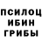 Галлюциногенные грибы Psilocybe Sarah Raike