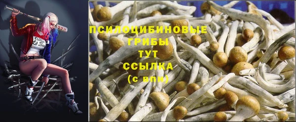 метадон Абинск