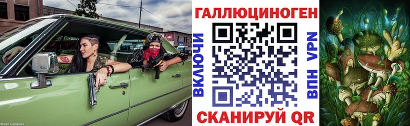Псилоцибиновые грибы Psilocybine cubensis  Плавск 
